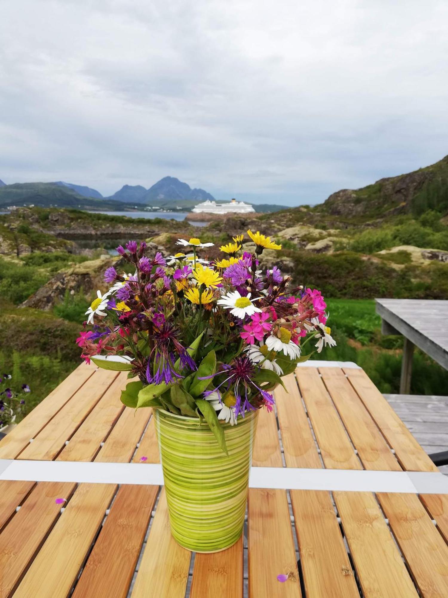 Unique Private Cabin In Lofoten Лекнес Екстериор снимка