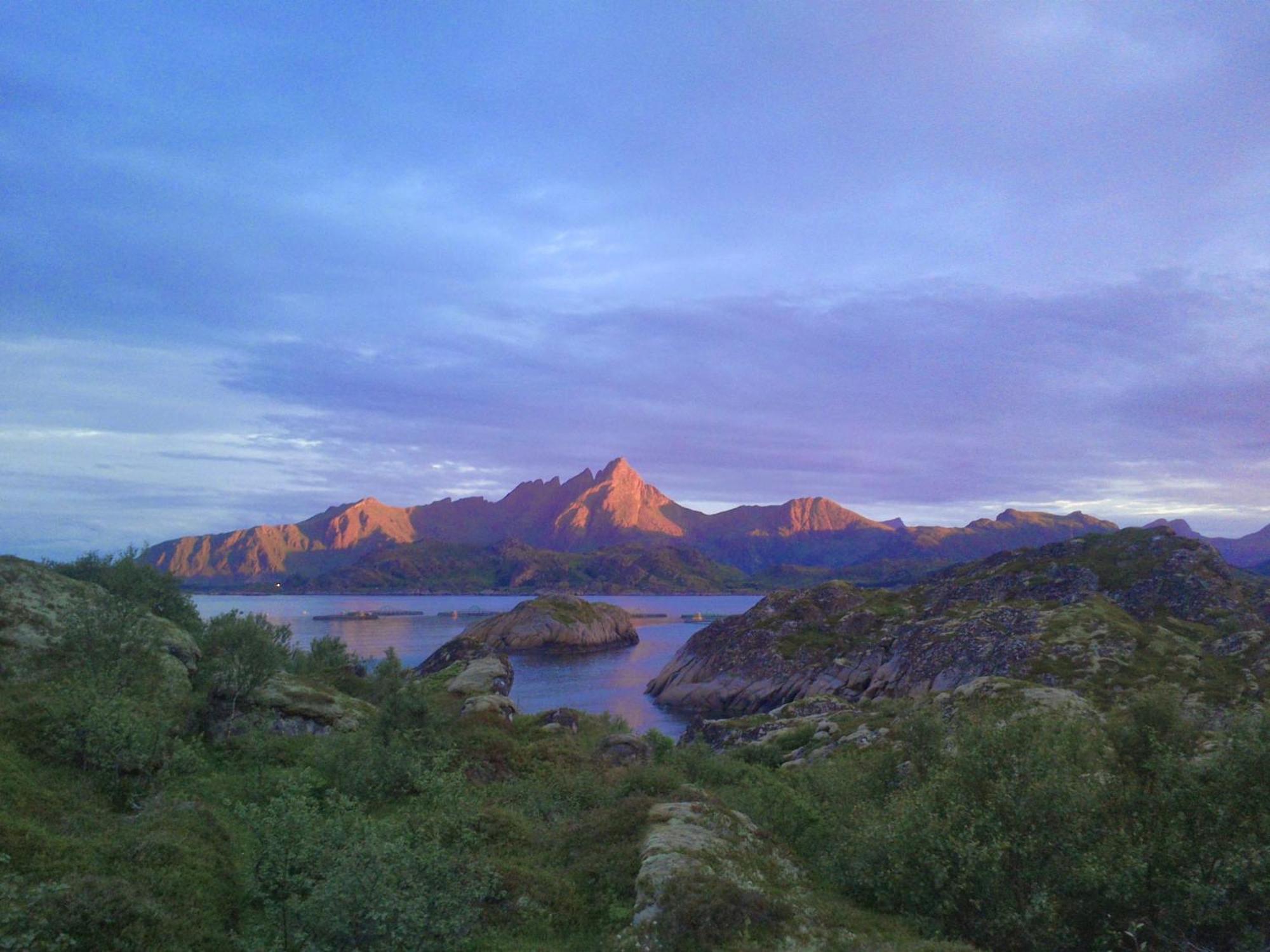 Unique Private Cabin In Lofoten Лекнес Екстериор снимка