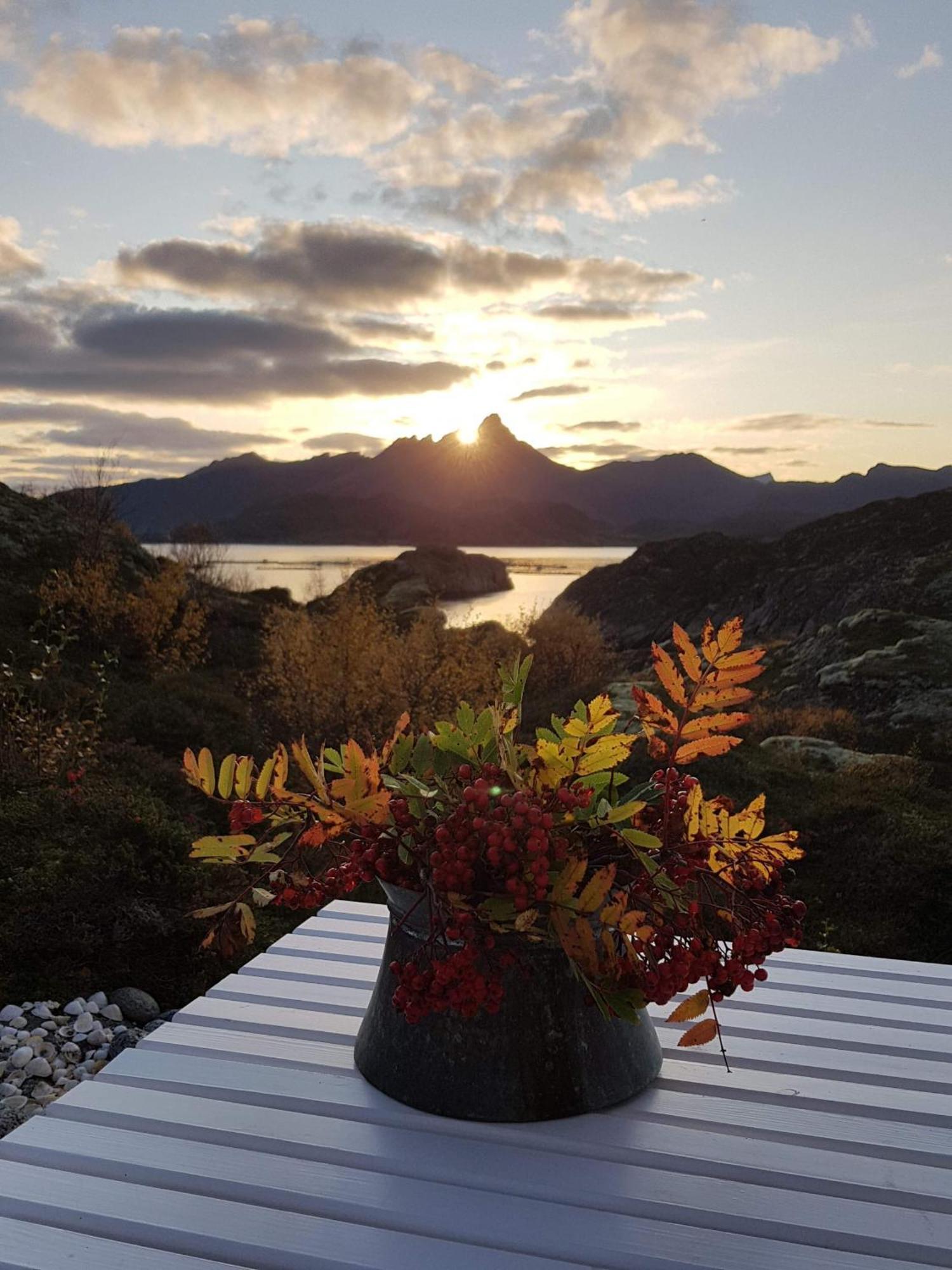 Unique Private Cabin In Lofoten Лекнес Екстериор снимка