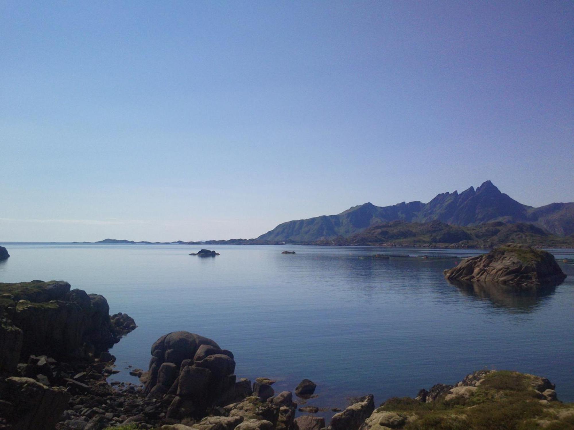 Unique Private Cabin In Lofoten Лекнес Екстериор снимка